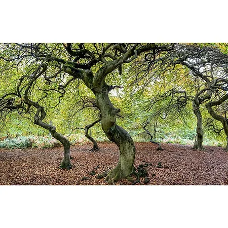 Lejlighed Erlengrund